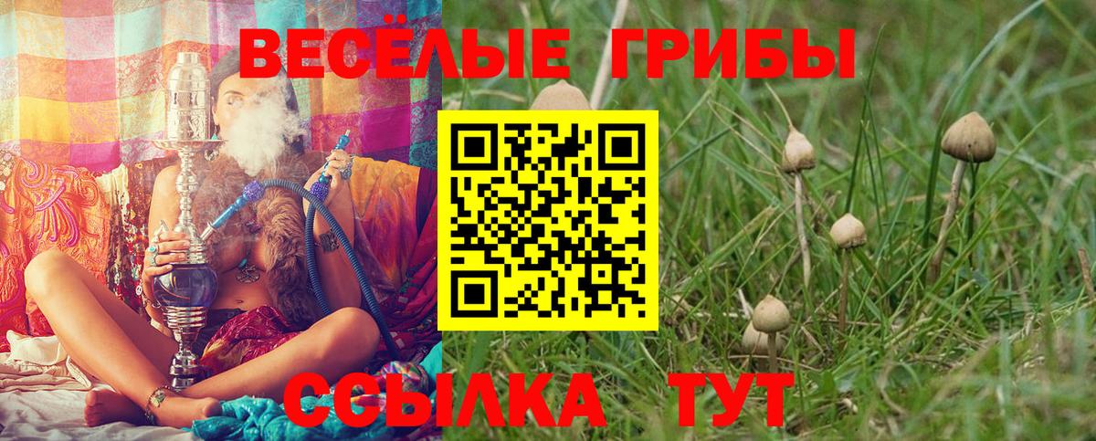 Нижний Тагил  Псилоцибиновые грибы Psilocybe  Вход с VPN 